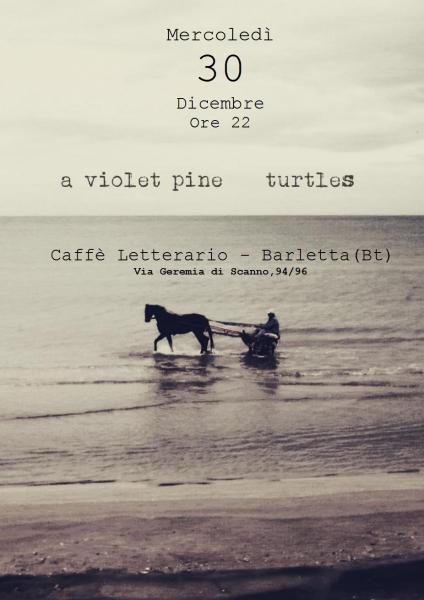 A Violet Pine in concerto
