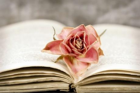Lettura di poesie. A cura di Francesca Tinelli