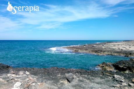 Mare d'inverno