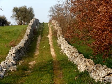 “ Camminando nella murgia dei trulli”