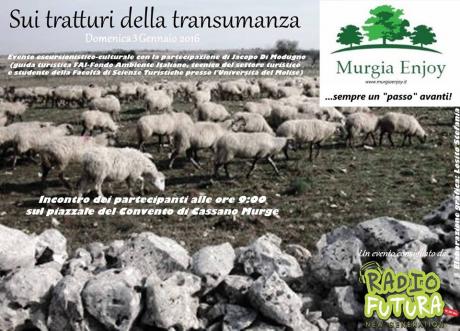 Sui tratturi della transumanza