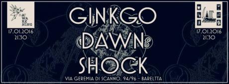 I Ginkgo Dawn Shock in concerto