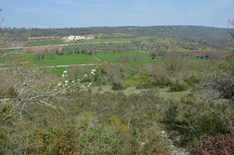 “Bosco Calmerio ed il sentiero dell’acquedotto”: