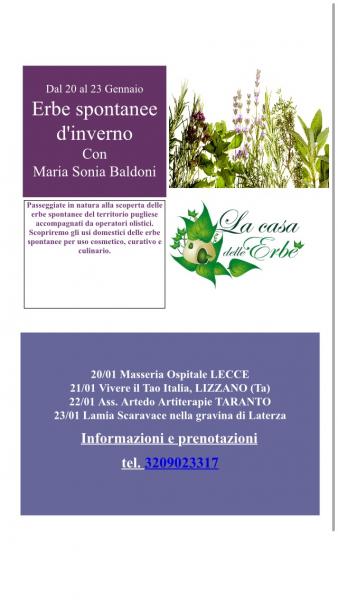 Erbe spontanee d'inverno con Maria Sonia Baldoni