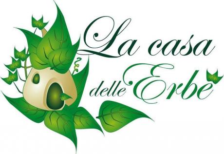 Le tisane curative e le erbe spontanee d'inverno