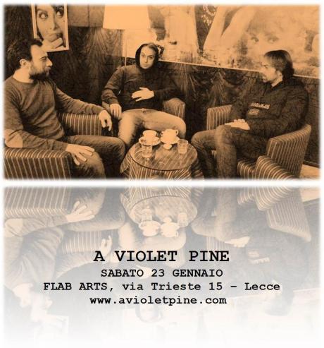A Violet Pine in concerto