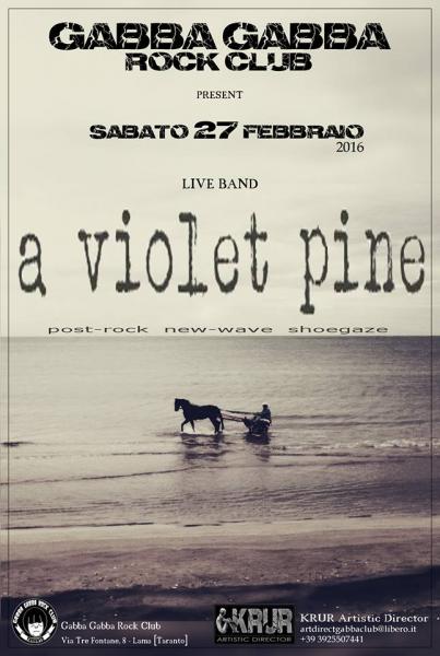 A Violet Pine in concerto