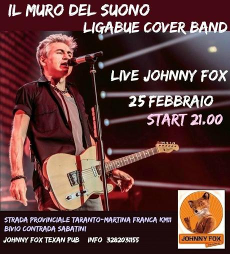 Il muro del suono - Ligabue cover band
