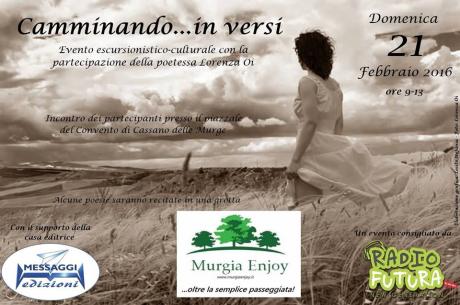 Camminando... in versi