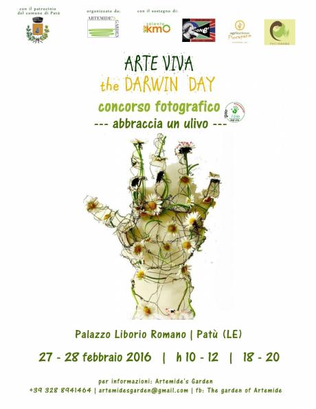 Abbraccia gli ulivi