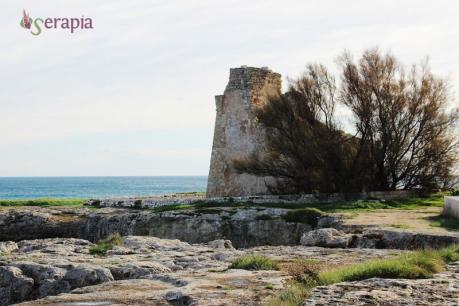 Tra torri e calette selvagge, con le prime orchidee in fiore