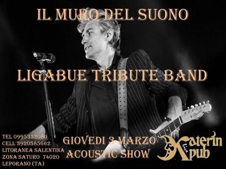 Il Venerdi Live del Katerin Pub: 4 Marzo 2013 con "Il Muro Del Suono" (Ligabue Tribute)