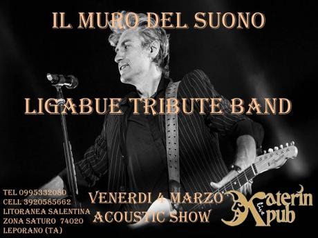 "Il Muro Del Suono" (Ligabue Tribute)