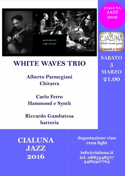 White Waves Trio in concerto