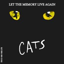 Cats “Let the Memory Live Again – tour 2016”