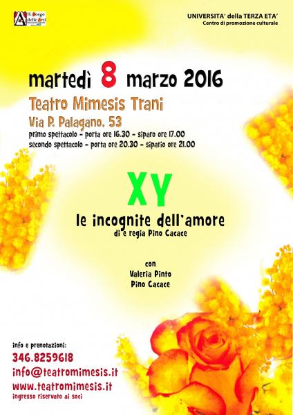 XY, le Incognite Dell'amore