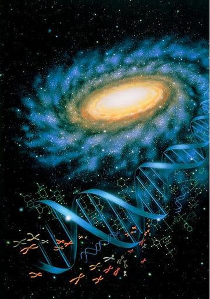 Programmazione Settimanale Planetario Sky Skan