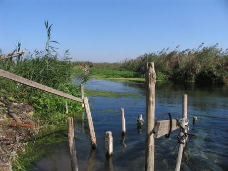 Escursione lungo il fiume Tara