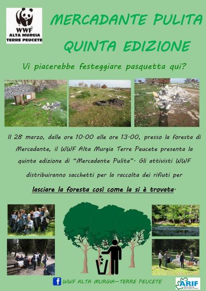 Mercadante Pulita 2016