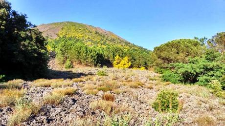 Pasquetta con Econote: 28 marzo Escursione sul Sentiero della Riserva Forestale Tirone – Alto Vesuvio