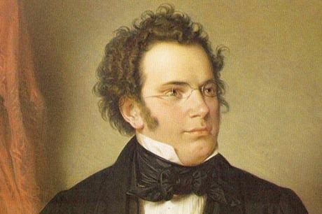 Franz Schubert (1797-1828) The Piano Sonatas II/6