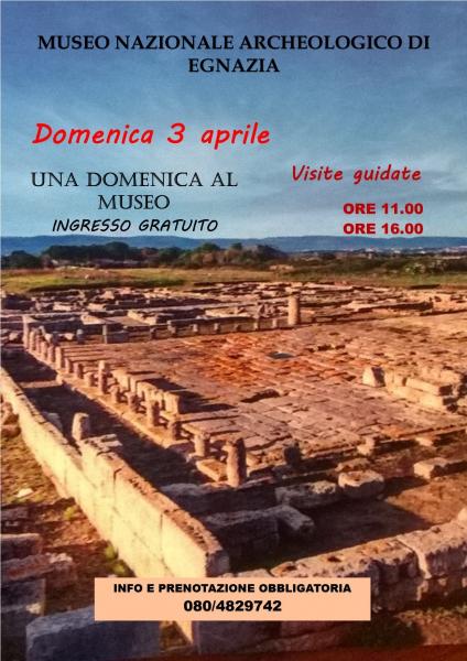 Una Domenica al Museo