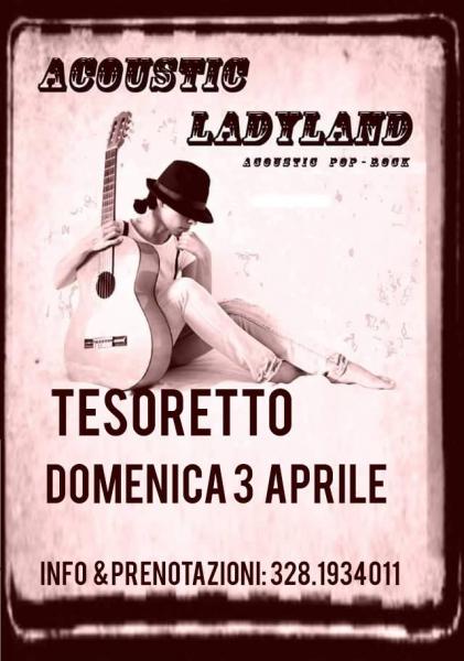 Acoustic Ladyland