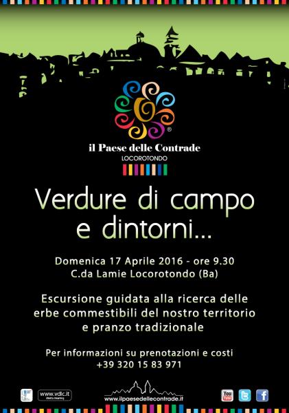 Verdure di campo e dintorni