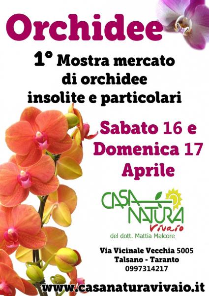 Orchidee Mostra mercato Taranto il Tacco di Bacco