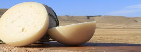 PAT (Prodotti Agroalimentari Tradizionali) Testamento all'eredità gravinese identitaria