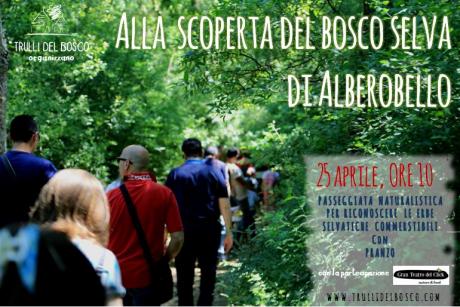 Passeggiata Naturalistica con Pranzo