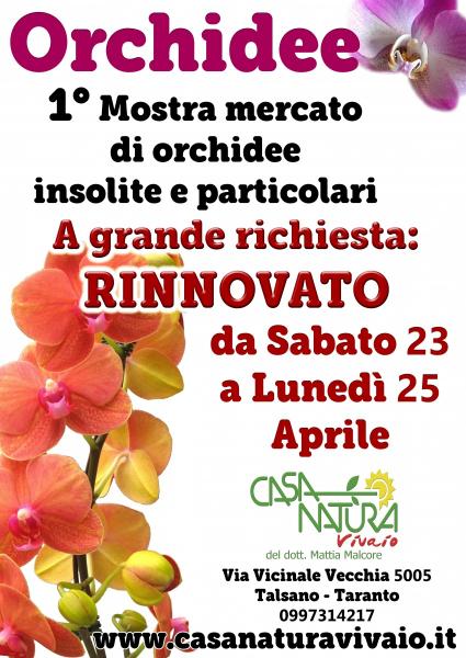 Orchidee - Mostra mercato - Rinnovata