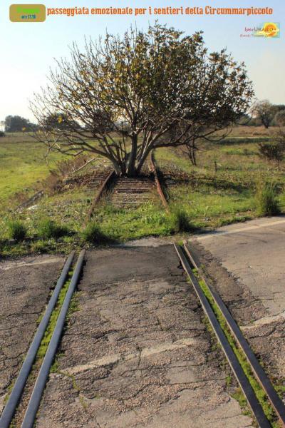 Passeggiata emozionale per i sentieri della Circummarpiccolo