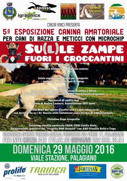 5^Esposizione Canina Amatoriale "su(l)le Zampe,  fuori I croccantini"