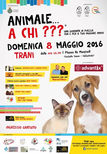 "Animale...a Chi???"