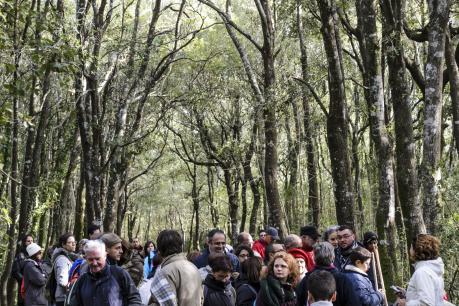 ScopriAmo il Bosco delle Pianelle