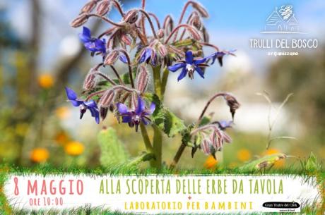 Alla scoperta delle erbe da tavola + pranzo + laboratorio per bambini
