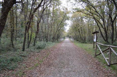 Escursione Nel Bosco di Sant’Antuono e Casali Rupestri di San Sabino e San Vito