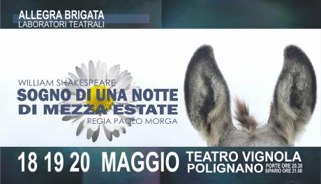 Sogno di Una Notte di Mezza Estate  - Allegra Brigata Laboratori Teatrali - Regia Paolo Morga