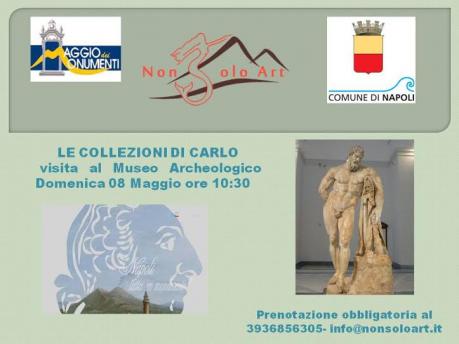 Le Collezioni di Carlo - Visita al Museo Archeologico Nazionale