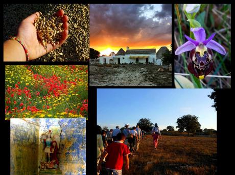 Colori e profumi della Murgia dei Trulli a primavera
