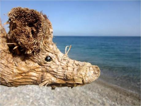 Viaggio fantastico nel mondo di Animalegni