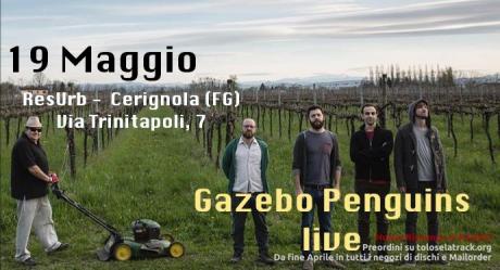 Gazebo Penguins live