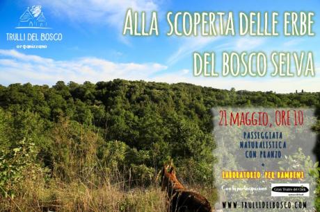 Alla scoperta delle erbe del Bosco Selva + laboratorio per bambini