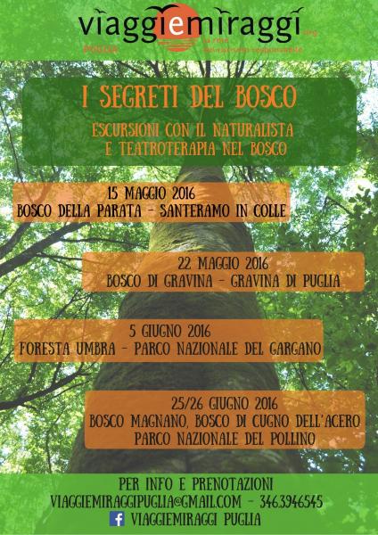 I Segreti del Bosco - escursione con il naturalista e teatroterapia nel bosco