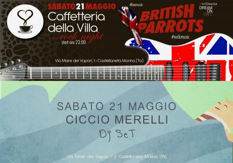 Rock Night con i "British Parrots"