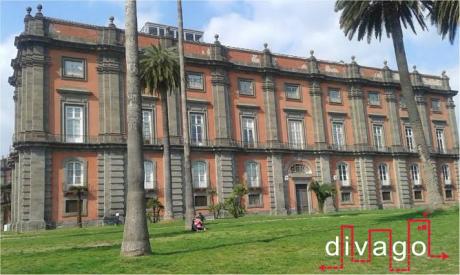 Visita serale al Museo di Capodimonte