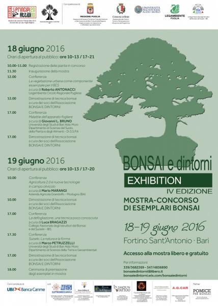 Mostra-concorso di esemplari bonsai BONSAI E DINTORNI Exhibition - IV edizione