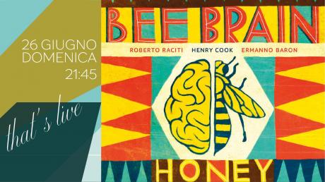 Bee Brain // Giardino di Macinate Cantine 1931