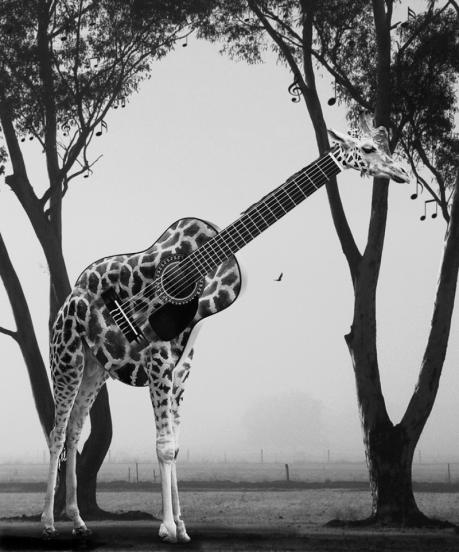 Paesaggi Sonori / Guitarkestra in Concert